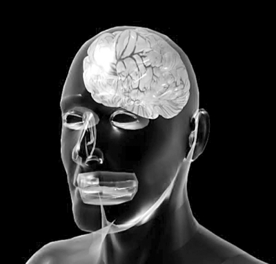 大脑决定人的社交圈子大小?透视"分裂"的人脑