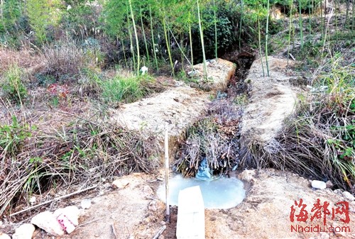 福建宁德古田深山稀土遭野蛮盗采 生态破坏严重