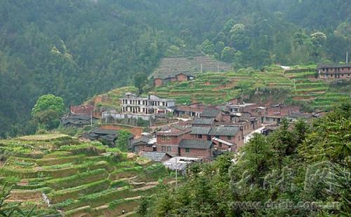 一条路改变龙岩漳平山羊隔村 村民们钱袋年年涨