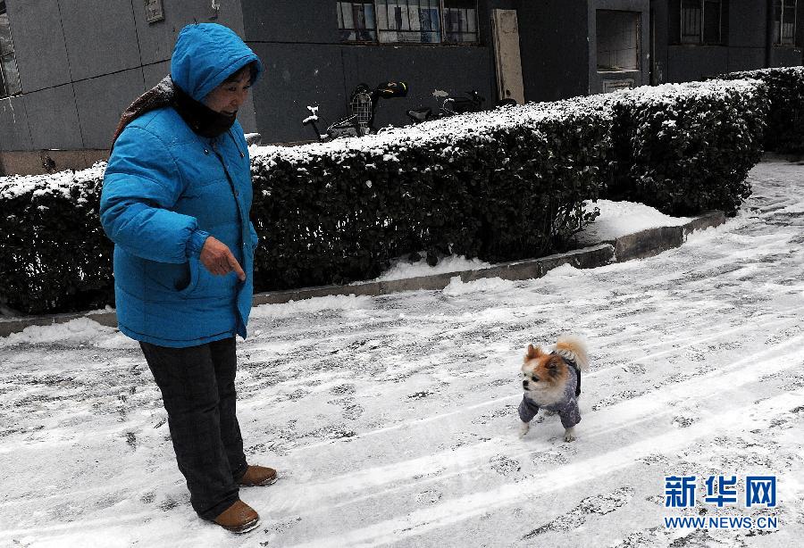 （生态）（7）北京飘雪