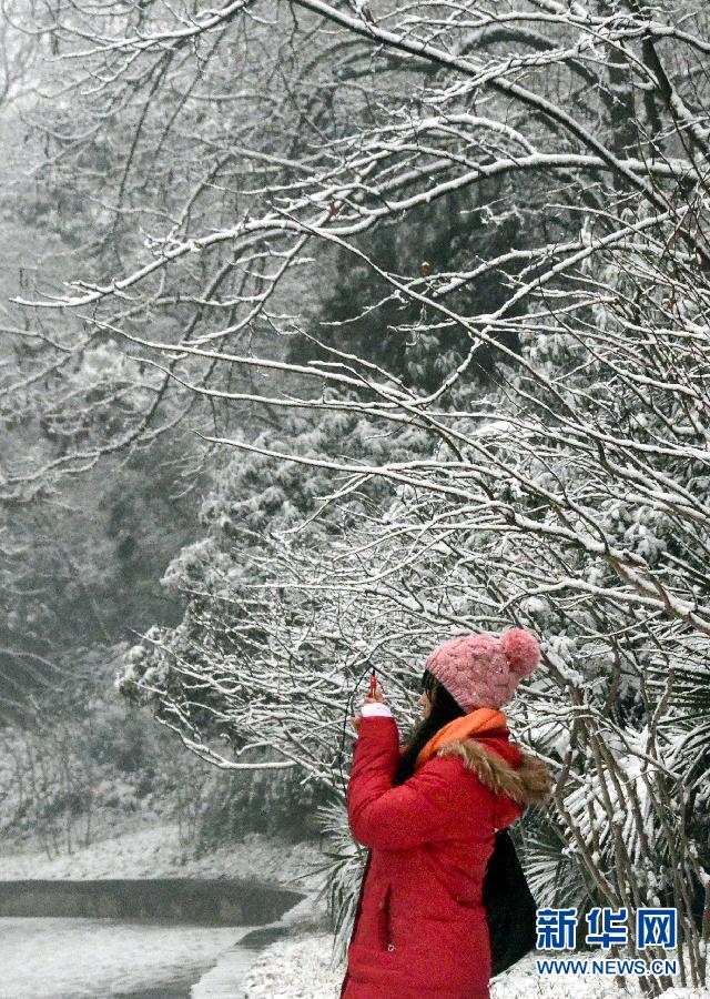 （生态）（1）郑州：“大寒”到 雪花飘