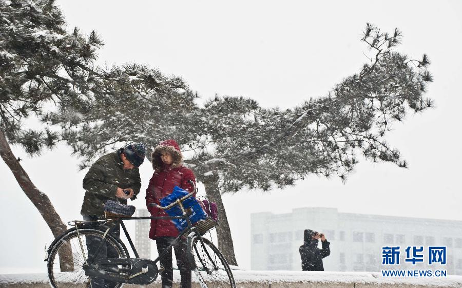 （生态）（1）天津普降中雪