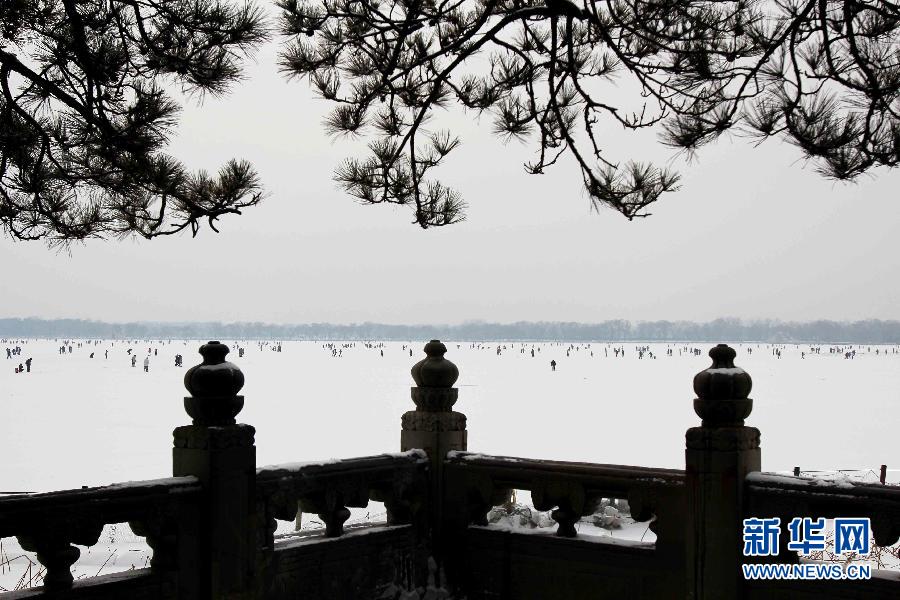 （生态）（8）北京飘雪