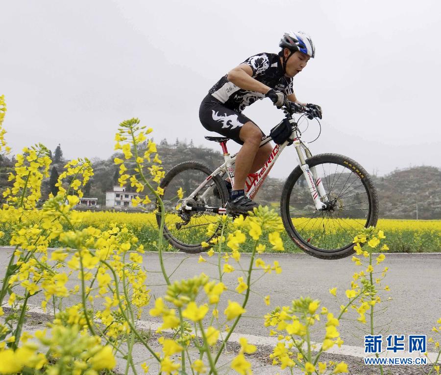 #（美丽中国）（8）油菜花开迎春来