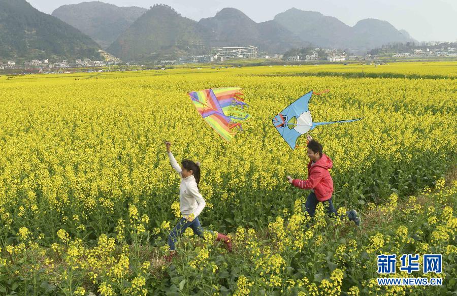 #（美丽中国）（6）油菜花开迎春来