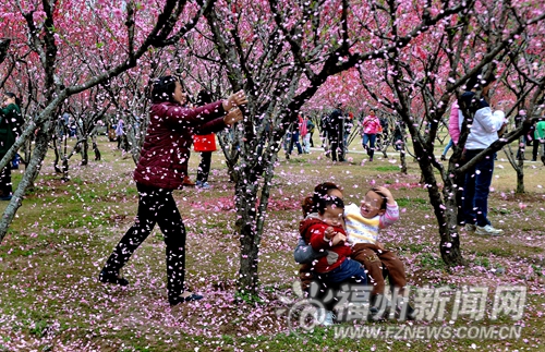 公园又现不文明：把花海踩秃　摧残花枝造花瓣雨