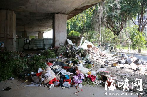 尤溪洲大桥下空地竟成垃圾场　附近居民怨声连连
