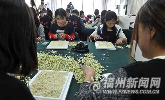 当日制作当日配送　茉莉花榕树须根成礼仪用花主角