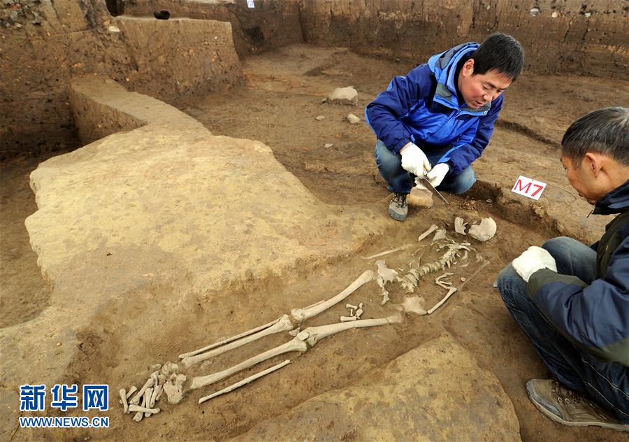 考古确认陕西龙岗寺遗址100万年前就有人类活动