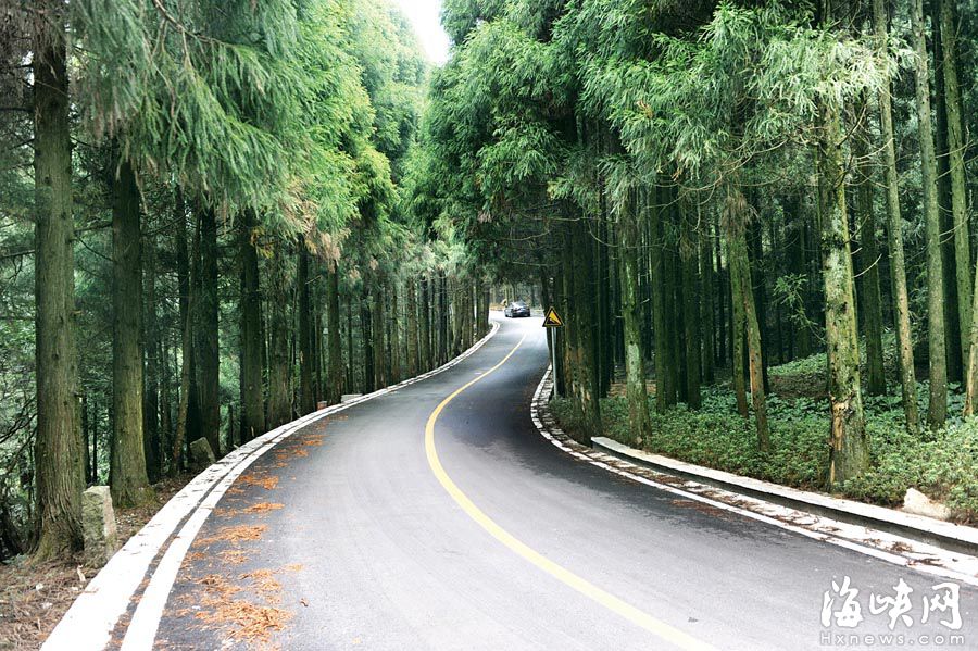 “福州最拉风山路”远离喧嚣　柳杉夹道云雾缭绕