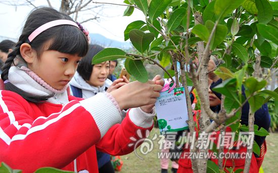 福州举办植树节主题活动 80名小朋友种下“心愿树”