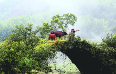 建阳黄坑:后塘访先贤