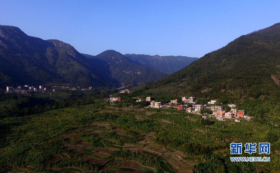 厦门“生态潜力股”汪前村：待到山花烂漫时 它在丛中笑