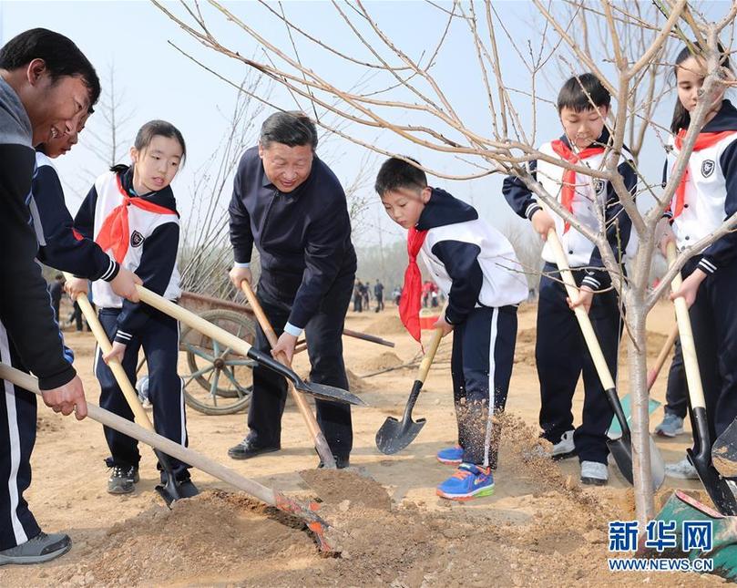 （时政）党和国家领导人参加首都义务植树活动