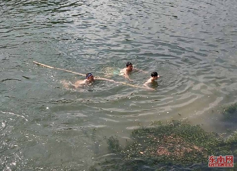 光泽县：激流中他们奋力救起四名落水少年