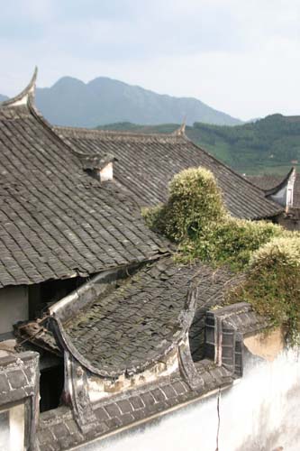 邑坂村,远古神奇:村前有千年的原始森林,东北,西北侧有芦坪岗,瓦窑岗