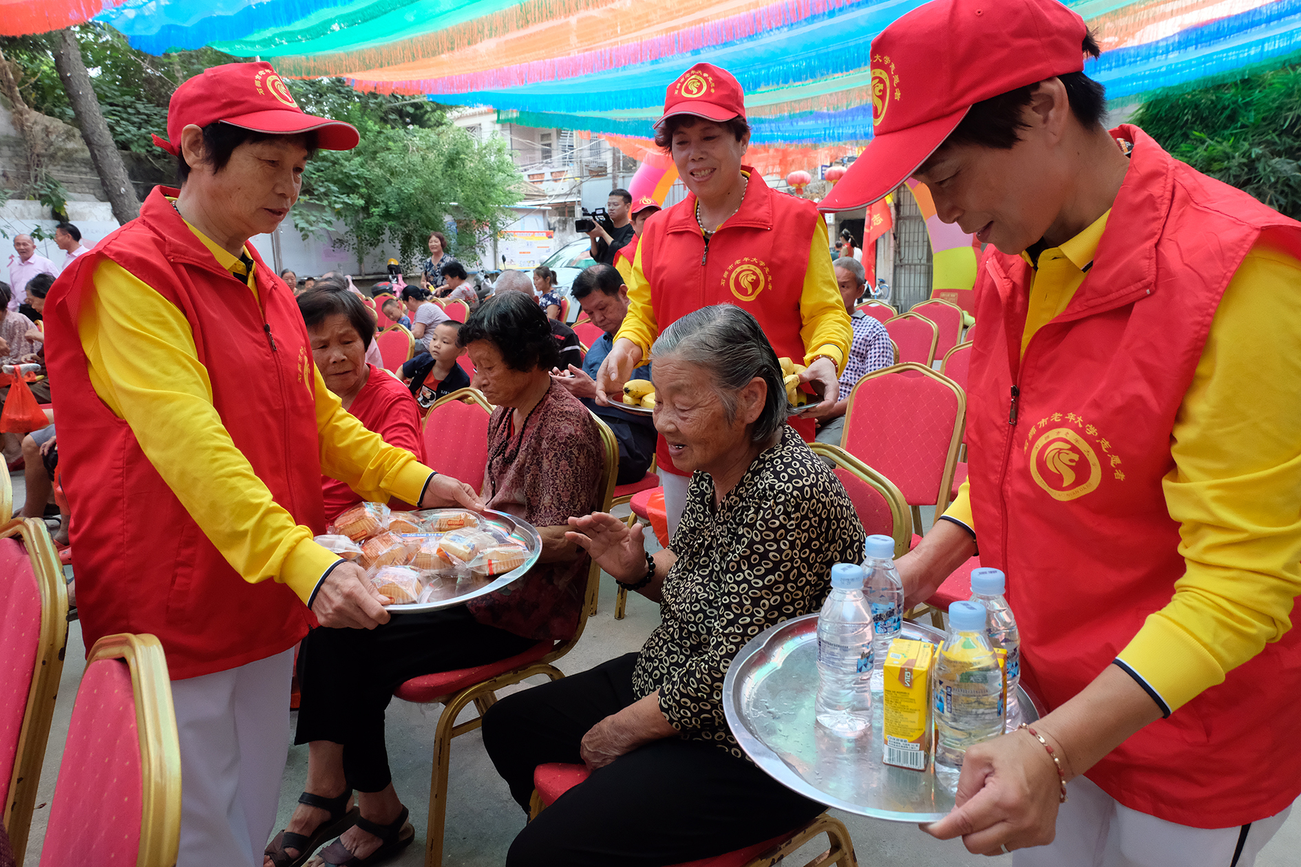 石狮离子正太图片