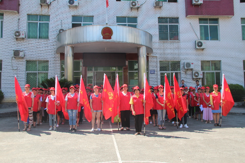 顺昌县大历镇举行人居环境整治巾帼志愿服务团(队)授旗仪式